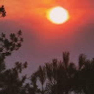 Meet your Posher, Jaycie haggard